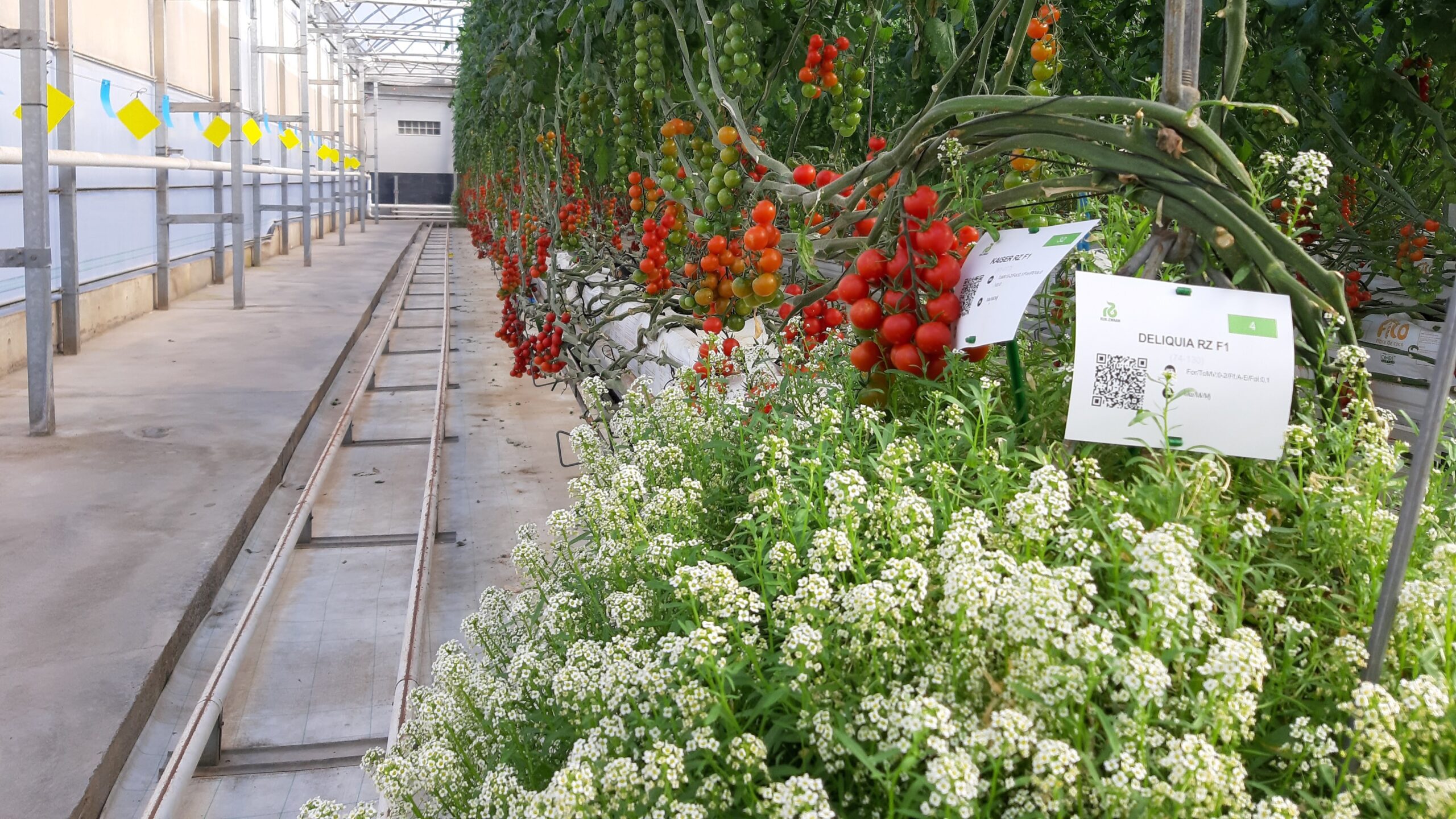 plantas reservorio|plantas reservorio|plantas reservorio|plantas reservorio|plantas reservorio|plantas reservorio